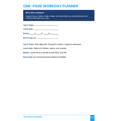 THE ADHD PLAYBOOK : Practical Guide For A Better Life